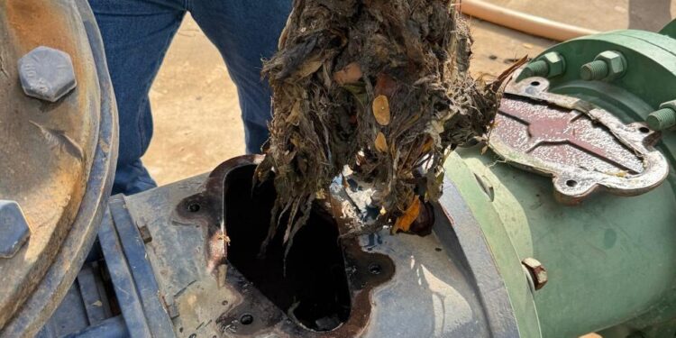 Por intensas lluvias en Mazatlán, cárcamos de rebombeo “colapsan” por basura