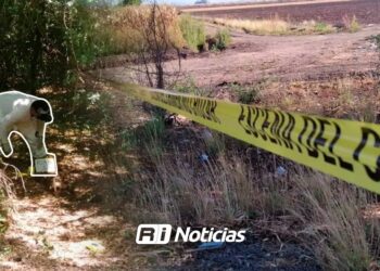 Encuentran cadáver semienterrado en Montelargo, Navolato