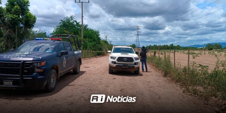 Hallan a cuatro personas asesinadas en San Pedro, Navolato; cuerpos presentan disparos de arma de fuego