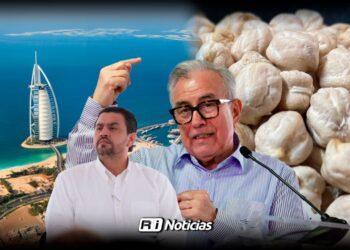 Inversión de 1.7 mdp en Dubái genera ganancias de 3,500 millones para el garbanzo sinaloense