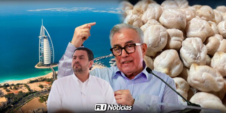 Inversión de 1.7 mdp en Dubái genera ganancias de 3,500 millones para el garbanzo sinaloense