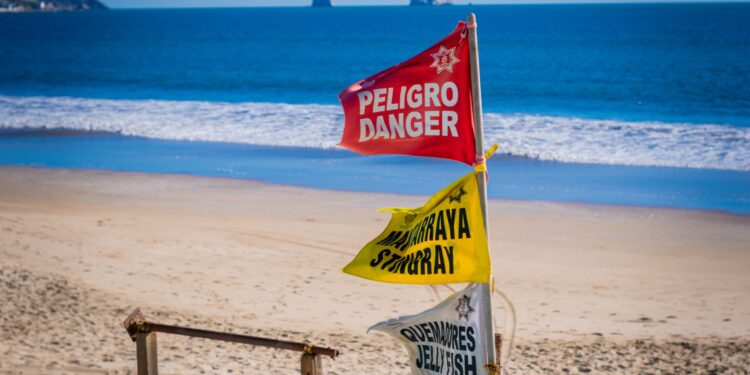 Salvavidas remolcan a surfista que era jalado por el oleaje hacia una zona rocosa