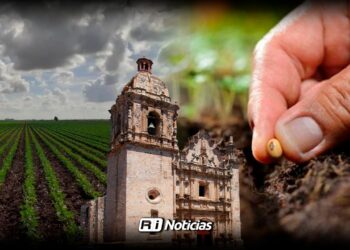 Agricultores de Concordia van por semillas para frijol