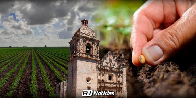 Agricultores de Concordia van por semillas para frijol