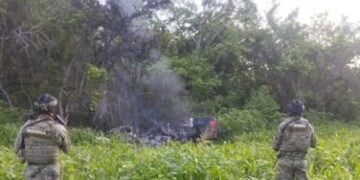 Fuerzas federales aseguran nueve armas largas y mas de 11 mil cartuchos en San Ignacio