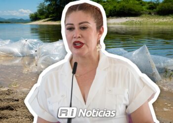 Sinaloa será pionero en el cultivo de mero mediante acuacultura