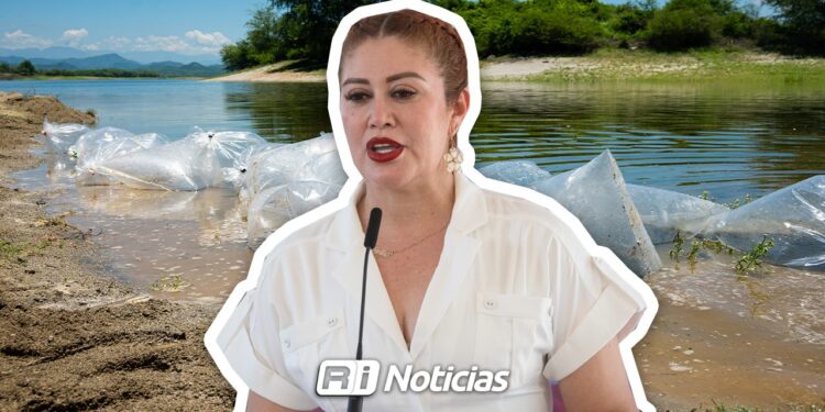 Sinaloa será pionero en el cultivo de mero mediante acuacultura