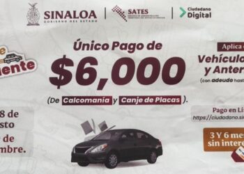 ¡Ponte al corriente! Lanzarán campaña para regularizar carros de 2015 y anteriores