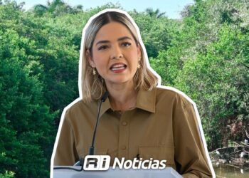 Realizarán poda de mangle en el arroyo Jabalines como medida de seguridad