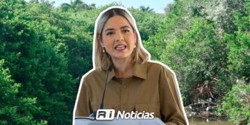 Realizarán poda de mangle en el arroyo Jabalines como medida de seguridad