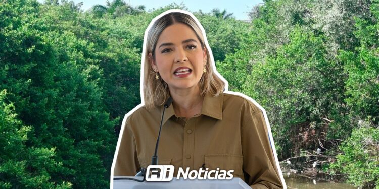 Realizarán poda de mangle en el arroyo Jabalines como medida de seguridad