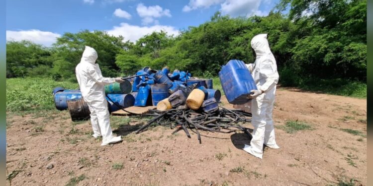 En Culiacán y Cosalá, el Grupo Interinstitucional asegura y destruye 7 áreas de concentración de materiales químicos y un plantío de marihuana