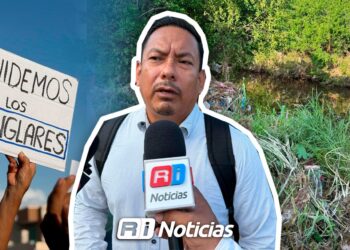 “Si tienen permiso que lo enseñen”, Observatorio Ciudadano a Gobierno por tala de mangle en Mazatlán