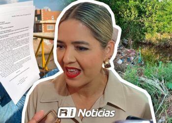 Alcaldesa aclara que se realizará poda de manglar con permisos federales