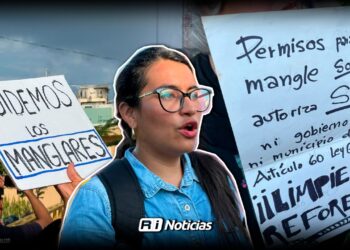 “Cada año sufrimos inundaciones y podar el mangle es un acto placebo para calmar a quejosos”: Claudia Peraza