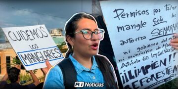 “Cada año sufrimos inundaciones y podar el mangle es un acto placebo para calmar a quejosos”: Claudia Peraza