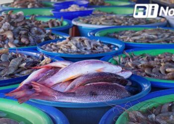 Las Changueras registran ventas de camarón hasta un 70% en Mazatlán