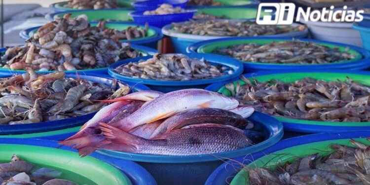 Las Changueras registran ventas de camarón hasta un 70% en Mazatlán