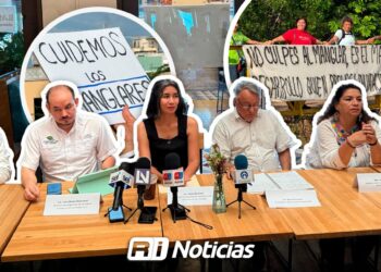 Colectivos ambientalistas y activistas lamentan actuar del Gobierno Municipal por “poda a mangle”