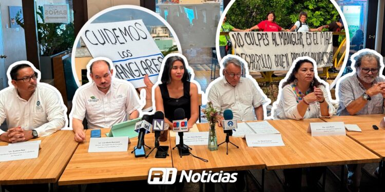 Colectivos ambientalistas y activistas lamentan actuar del Gobierno Municipal por “poda a mangle”
