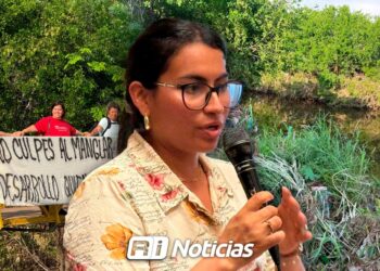 “Estamos asesorados y actuaremos de manera legal”, dicen vecinos y activistas por “daños” al mangle en Mazatlán