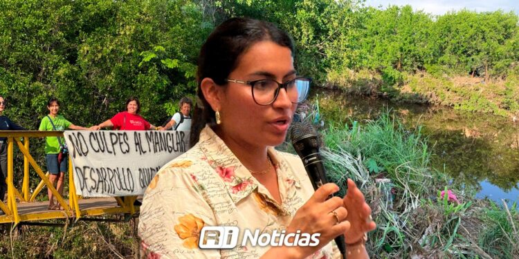 “Estamos asesorados y actuaremos de manera legal”, dicen vecinos y activistas por “daños” al mangle en Mazatlán