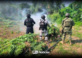 Refuerzan seguridad en Sinaloa: Decomisos y detenciones en la semana del 11 al 17 de agosto