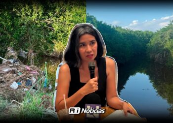 La tala de mangle empeorará el tema de inundaciones en la zona: Alexis Romero