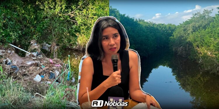 La tala de mangle empeorará el tema de inundaciones en la zona: Alexis Romero