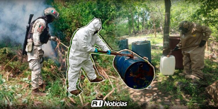 Caen laboratorios y plantíos en Sinaloa: decomisan más de 1,500 litros en 4 municipios