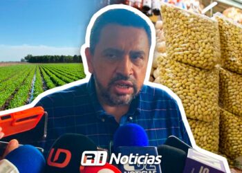 Analizan en Sinaloa contratos para incentivar la siembra de frijol