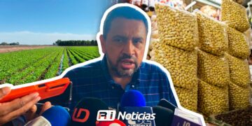 Analizan en Sinaloa contratos para incentivar la siembra de frijol