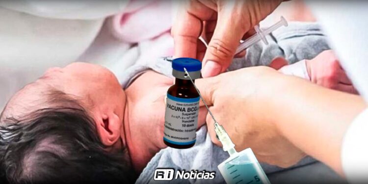 Vacuna BCG para recién nacidos llegará a Sinaloa en próximas semanas