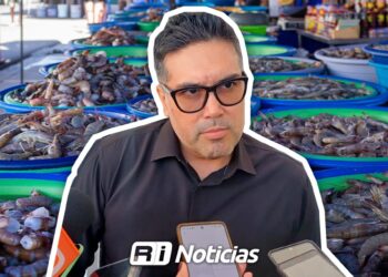Aseguran 80 toneladas de productos del mar en Mazatlán por pérdida de cadena de frío