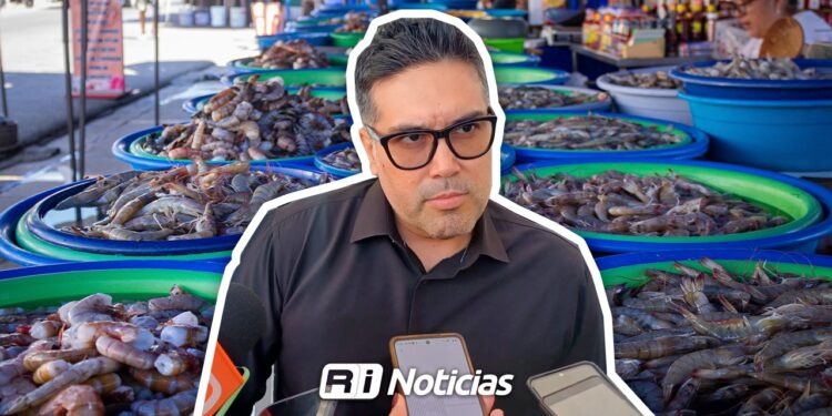 Aseguran 80 toneladas de productos del mar en Mazatlán por pérdida de cadena de frío