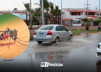 Por lluvias, sector salud prevé en Mazatlán incremento de casos de dengue