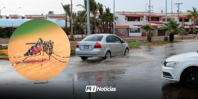 Por lluvias, sector salud prevé en Mazatlán incremento de casos de dengue