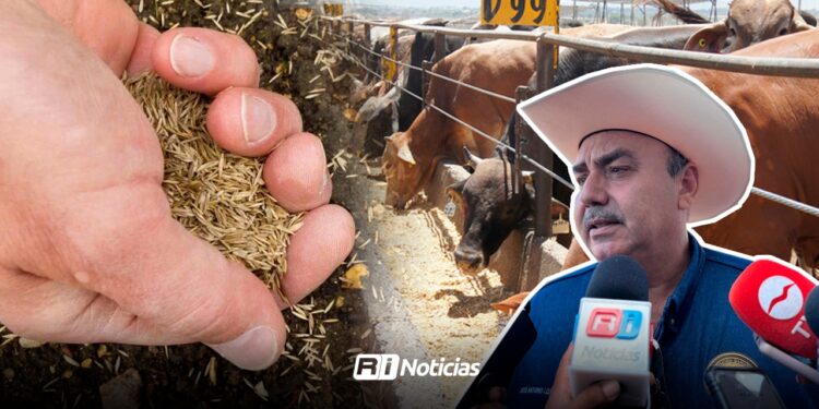 Benefician a ganaderos de Mazatlán con 20 toneladas de semilla gavatera