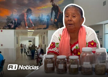 Aprueba Cofepris primer consultorio tradicional indígena en Sonora