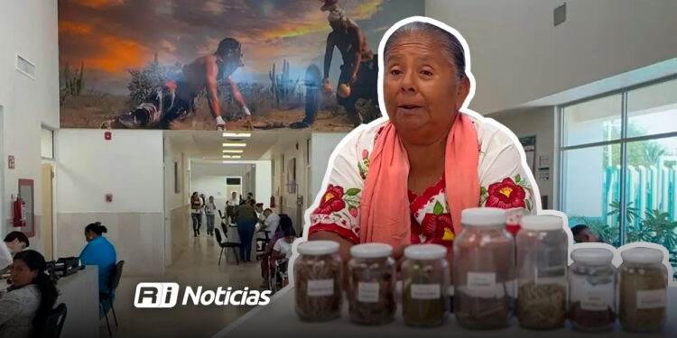 Aprueba Cofepris primer consultorio tradicional indígena en Sonora