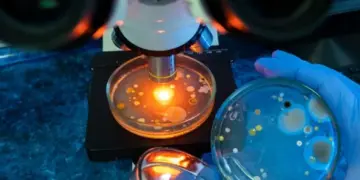 La bacteria “come carne” se encuentra en estos lugares: lo que debes saber para protegerte