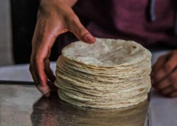 Esta es la cantidad exacta que debe tener un kilo de tortillas: precios y estados donde se vende a menor costo