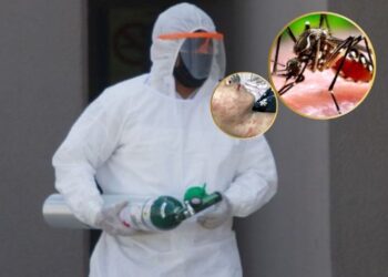 ¿Nueva pandemia? China reporta peligroso brote de virus incapacitante transmitido por mosquitos