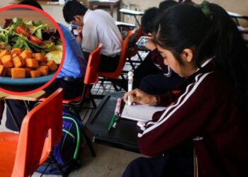 ‘Menús con ciencia’, el programa para impulsar escuelas sin comida chatarra