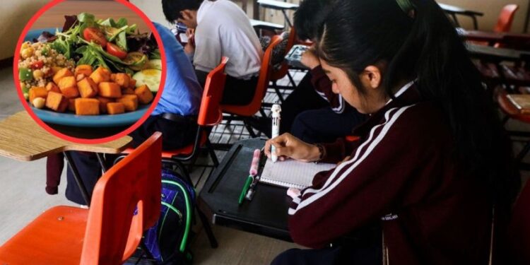 ‘Menús con ciencia’, el programa para impulsar escuelas sin comida chatarra