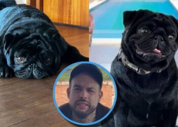 Lanzan disculpa a Emiliano Aguilar desde la cuenta de ‘Gordo’, la mascota de la familia Aguilar