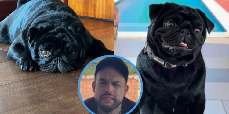 Lanzan disculpa a Emiliano Aguilar desde la cuenta de ‘Gordo’, la mascota de la familia Aguilar