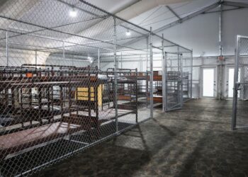 Sheinbaum confirma que hay 81 mexicanos detenidos en ‘Alligator Alcatraz’, Florida