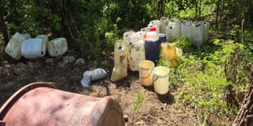 Destruyen seis laboratorios clandestinos en Sinaloa; afectación al crimen es de 219 mdp