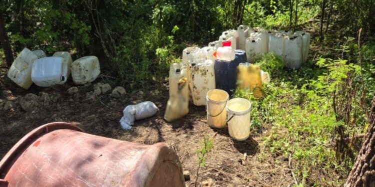 Destruyen seis laboratorios clandestinos en Sinaloa; afectación al crimen es de 219 mdp